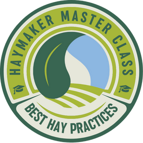 Haymaker Hub - Best Landscape Designs in Ultra HD